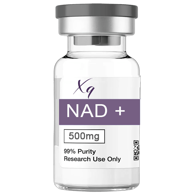 NAD+ 500mg - XQ
