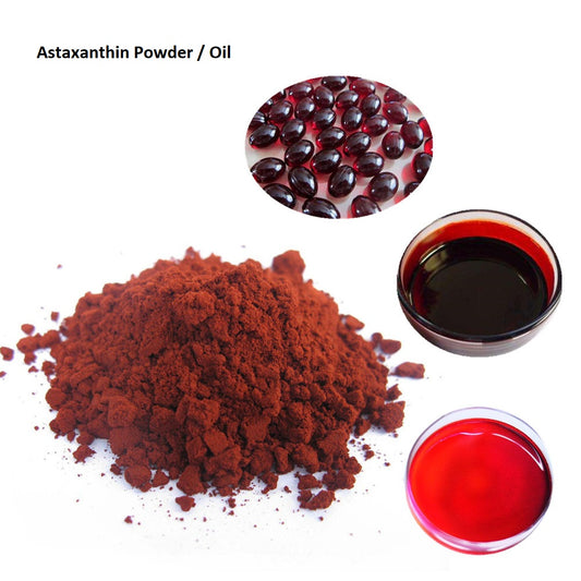 Astaxanthin Raw Powder (Topical) 5g - XQ