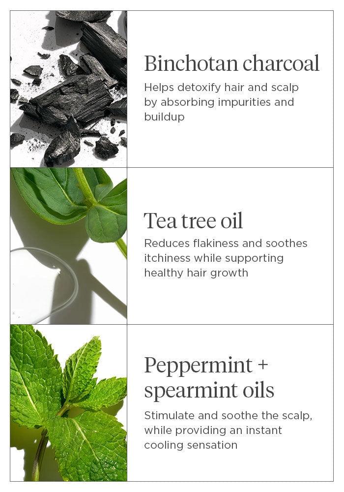 Briogeo - Scalp Revival Charcoal + Tea Tree Cooling Hydration Scalp Mask 6oz - XQ