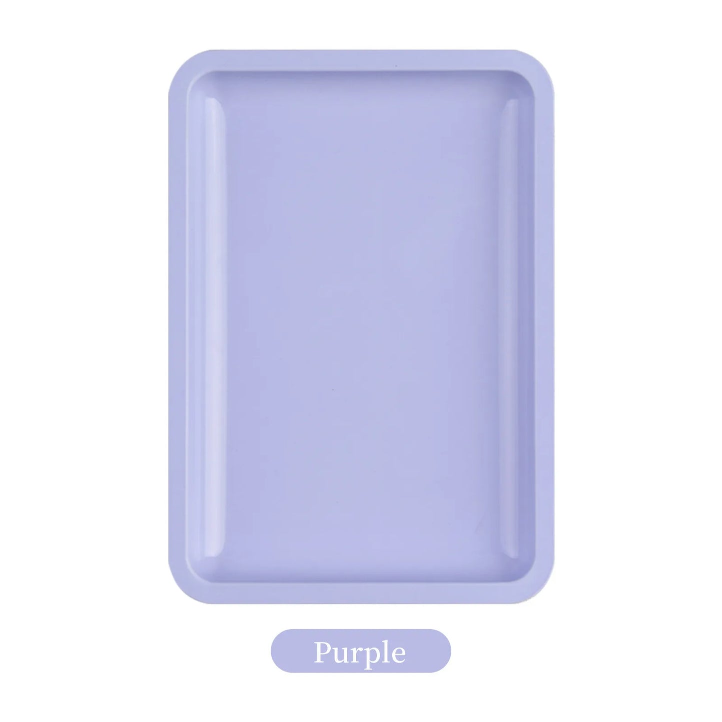 Stainless Steel Painted Implement Tray - XQ