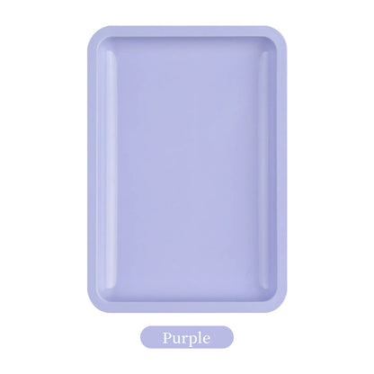 Stainless Steel Painted Implement Tray - XQ