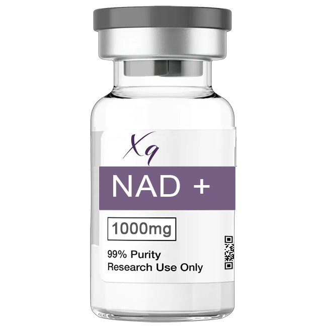 NAD+ 1000mg - XQ