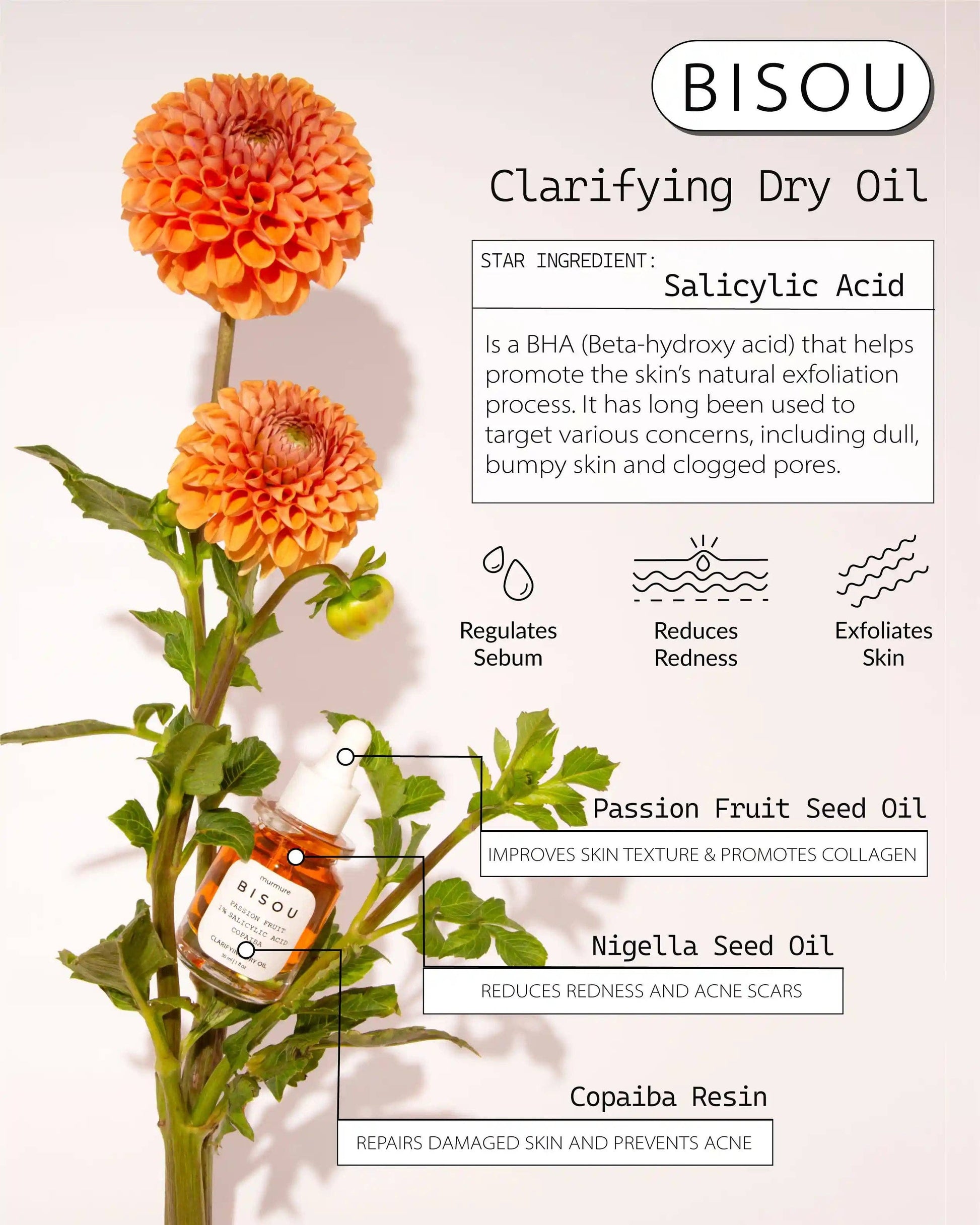 Murmure - Bisou: Clarifying Dry Oil - XQ