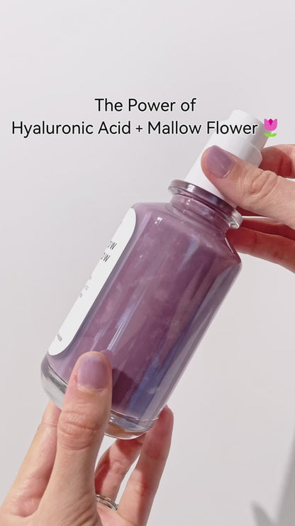 murmure - Mellow Mallow: Nourishing Gel Cleanser
