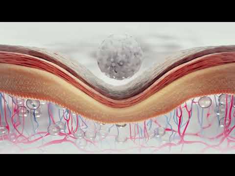 PLLACube - All in One Original